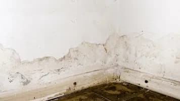 Seepage & Leakage Survey